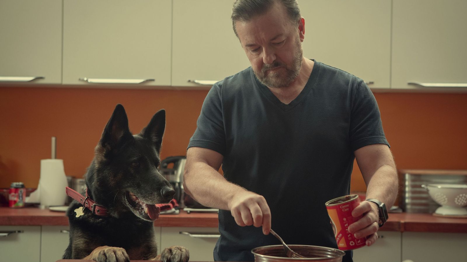 Ricky Gervais pays tribute to After Life dog after canine co-star's death