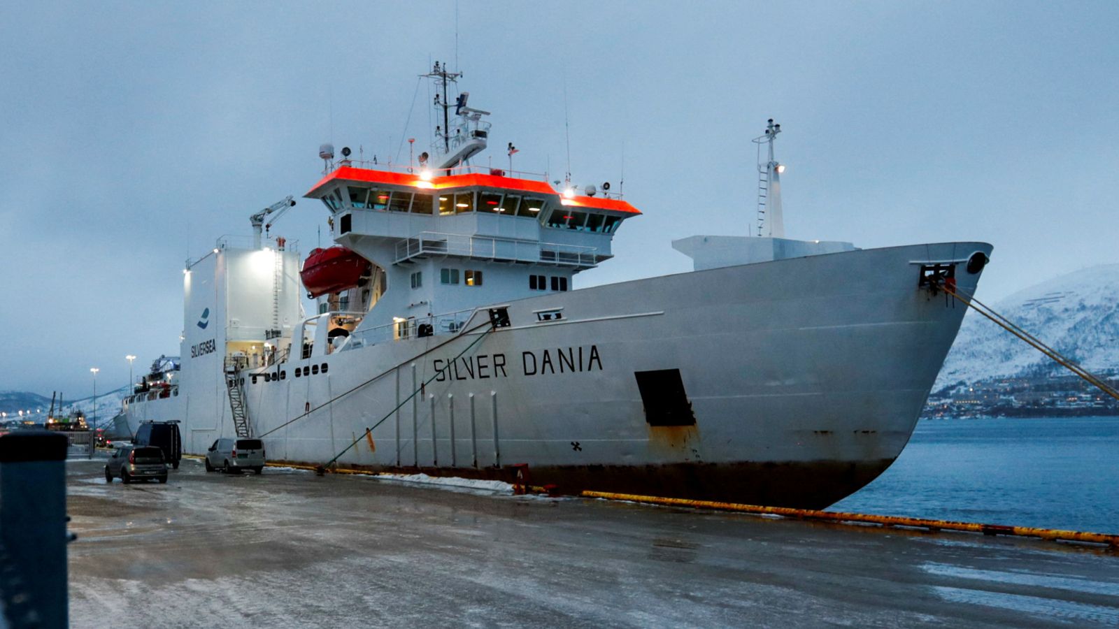 Second ship seized in Baltic Sea cable damage investigation