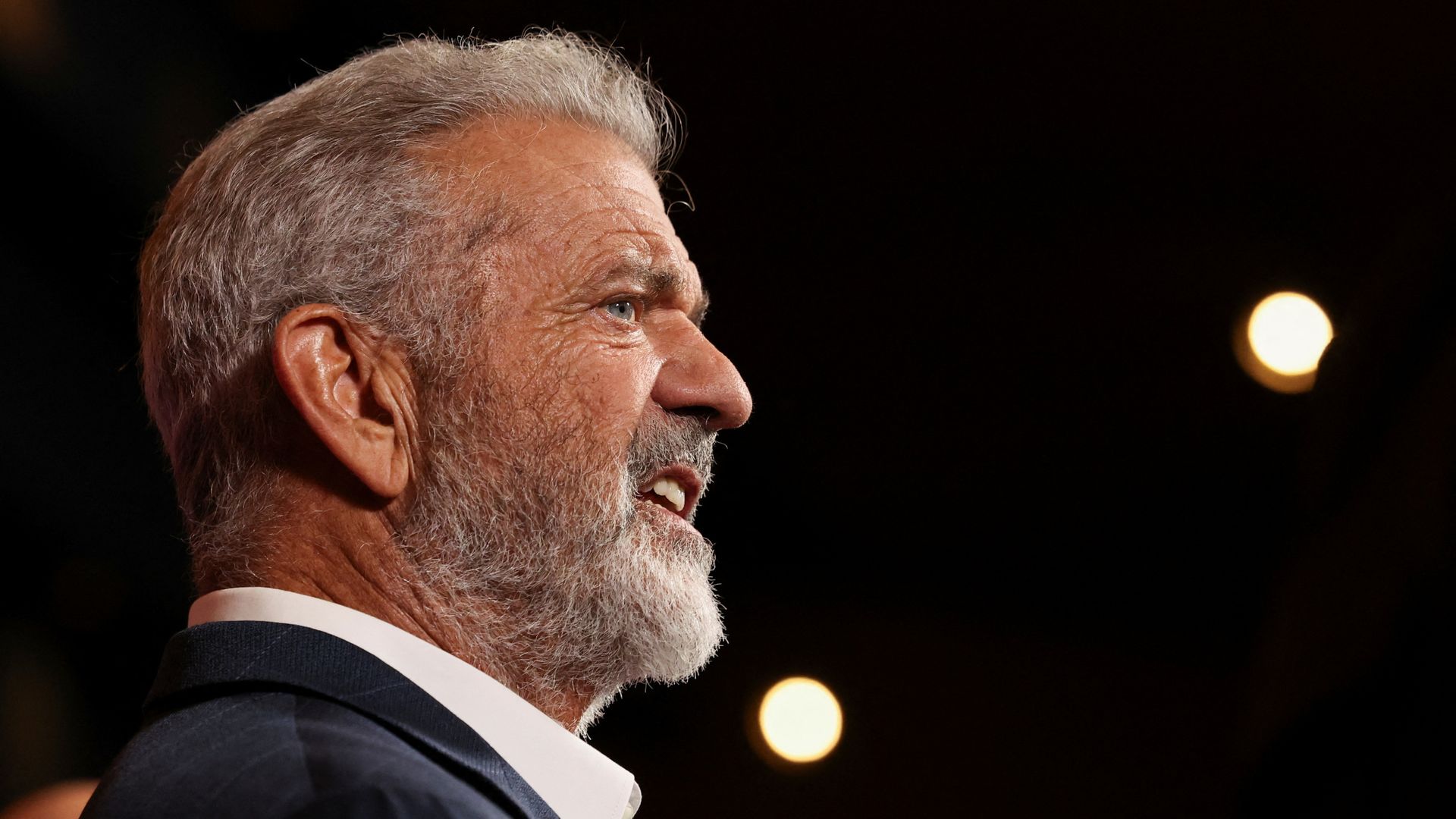 'Nothing left' of Mel Gibson's house as he urges California governor to 'spend less on hair gel'