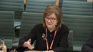 Professor Alexis Jay told the Home Affairs Select Committee Tory MPs were weaponising child sexual abuse. Pic: Parliament TV