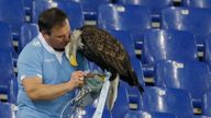FILE - Lazio's mascot Olympia is recovered by falconer Juan Bernabe after escaping prior to the start of a Serie A soccer match between Lazio and AC Milan at Rome's Olympic stadium, Saturday, Jan. 24, 2015. (AP Photo/Gregorio Borgia, File)


