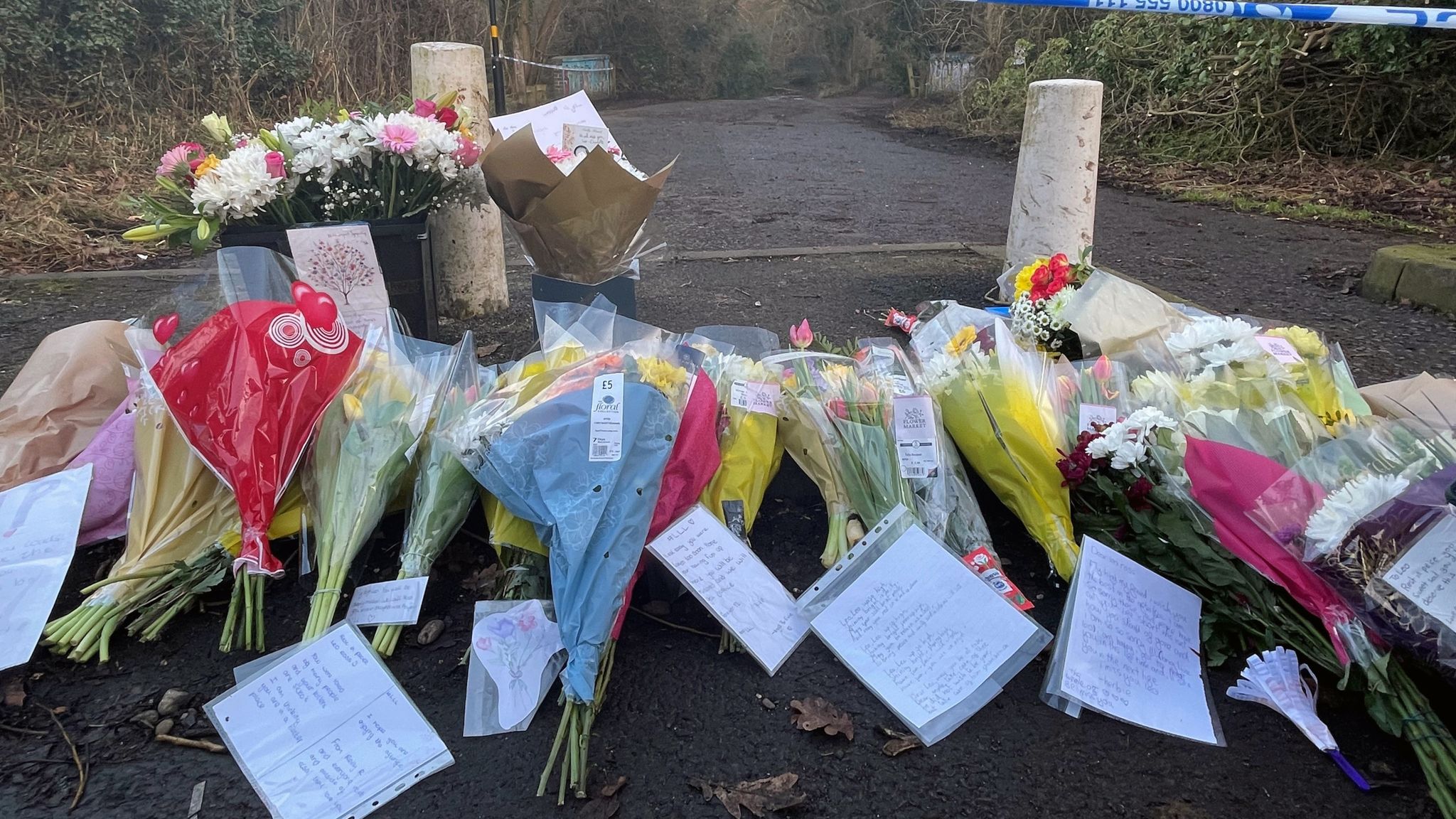 Boy, 12, stabbed to death in Birmingham named - after 14-year-old
