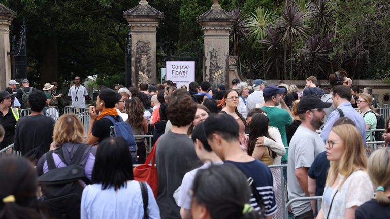 People line up to view the blossoming Bunga Bangkai, nicknamed the 'corpse flower' for its stench, in Sydney, Australia.
Pic: Reuters