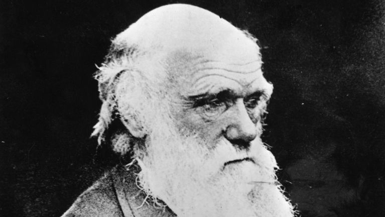 A photograph of Charles Darwin made shortly before his death. Pic: AP