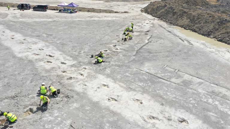 Dewars Farm dinosaur excavation. Pic: University of Birmingham