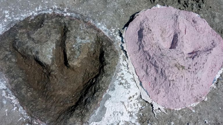 UK's biggest ever dinosaur trackway site has been discovered in a quarry in Oxfordshire