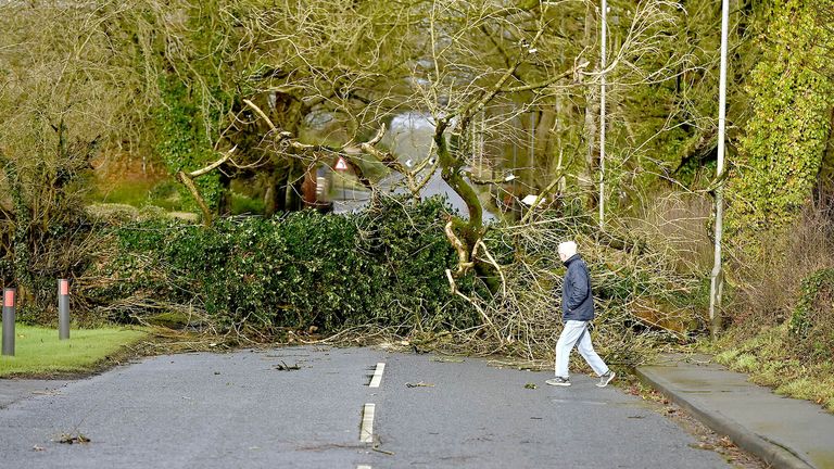 A fallen tree on Mullaghmore Road near Dungannon.  
Pic: PA