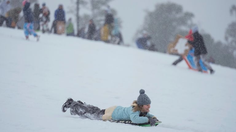 A person sleds down a hill at Herman Park in Houston.
Pic: AP
