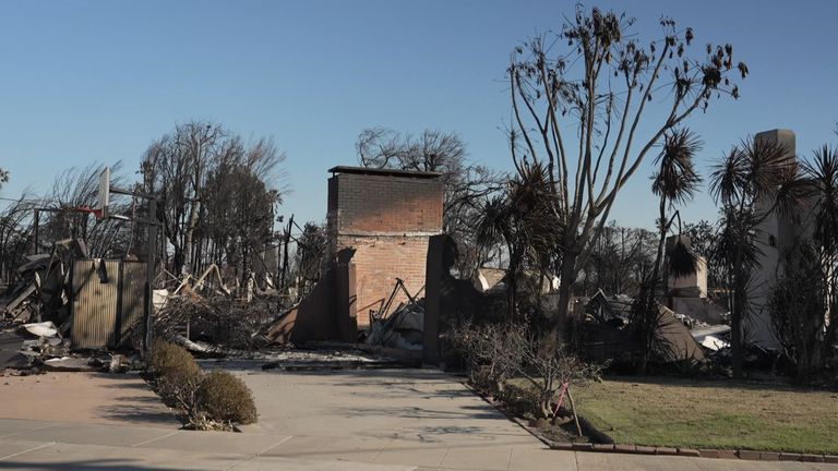 All that remains of Liz Lerner's Palisades home