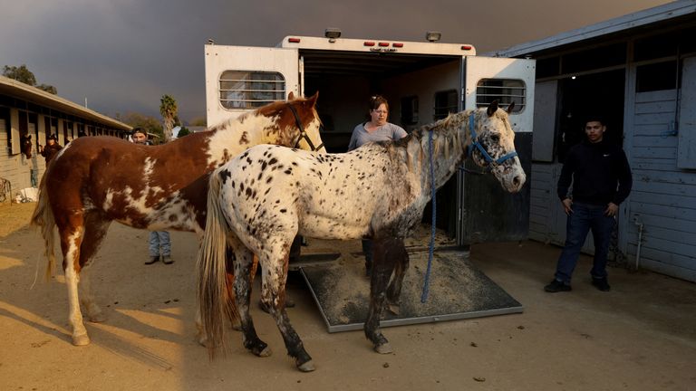 Jodi Lakatos unloads the last of her 15 horses at the Los Angeles Equestrian Center after evacuating Altadena.
Pic: Reuters/Carlin Stiehl