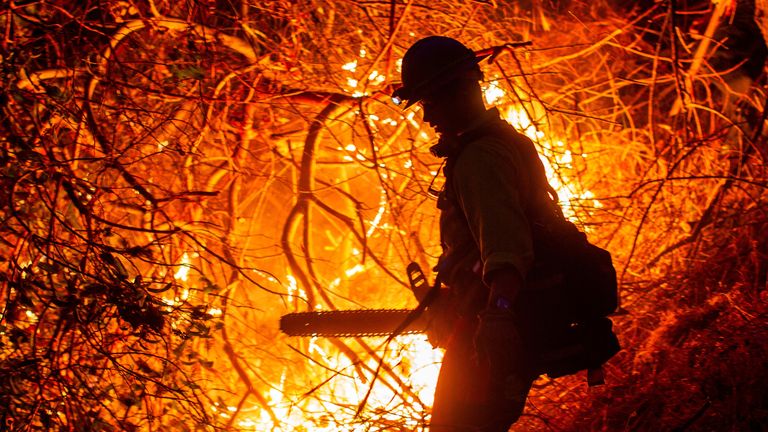 Strażak pracuje jako Palisades Fire, jeden z kilku jednoczesnych płonących płonących, które rozerwały hrabstwo Los Angeles, Burns w Mandeville Canyon, sąsiedztwo w Los Angeles, Kalifornia, USA, 12 stycznia 2025 r. Reuters/Ringo Chiu

