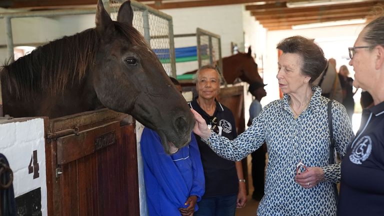 Princess Anne in the stables during a visit to the South African Riding School for Disabled Association. Pic: PA