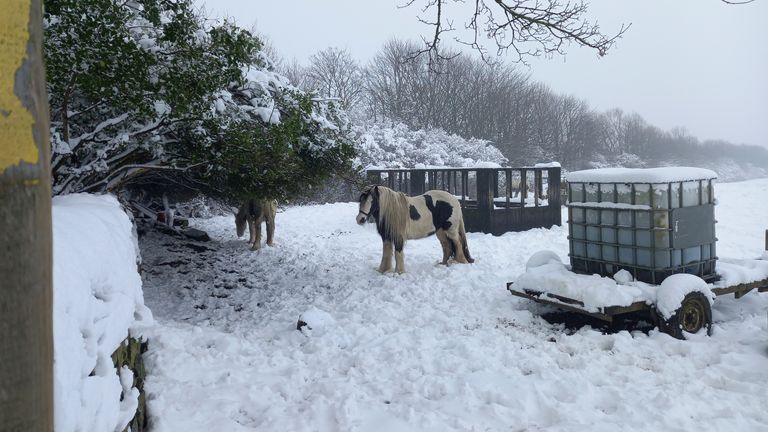 Snow in Morley, West Yorkshire. Pic: PA