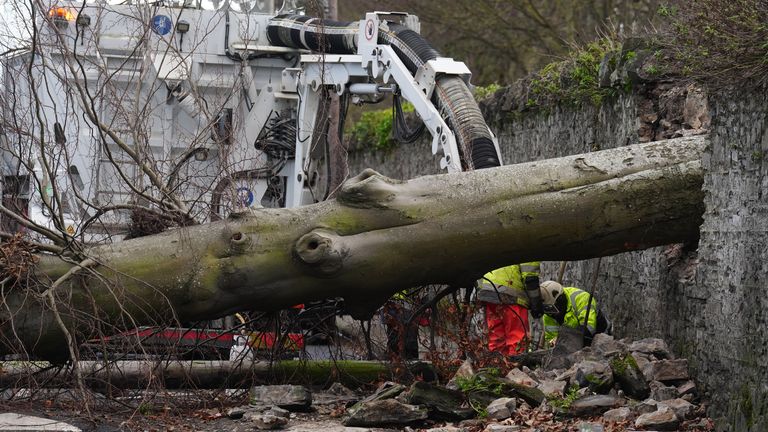 ESB workers survey a fallen tree which crashed through the wall of Phoenix Park and on to Blackhorse Avenue in Dublin