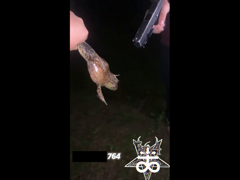 A 764 branded video showing a person shooting a frog.