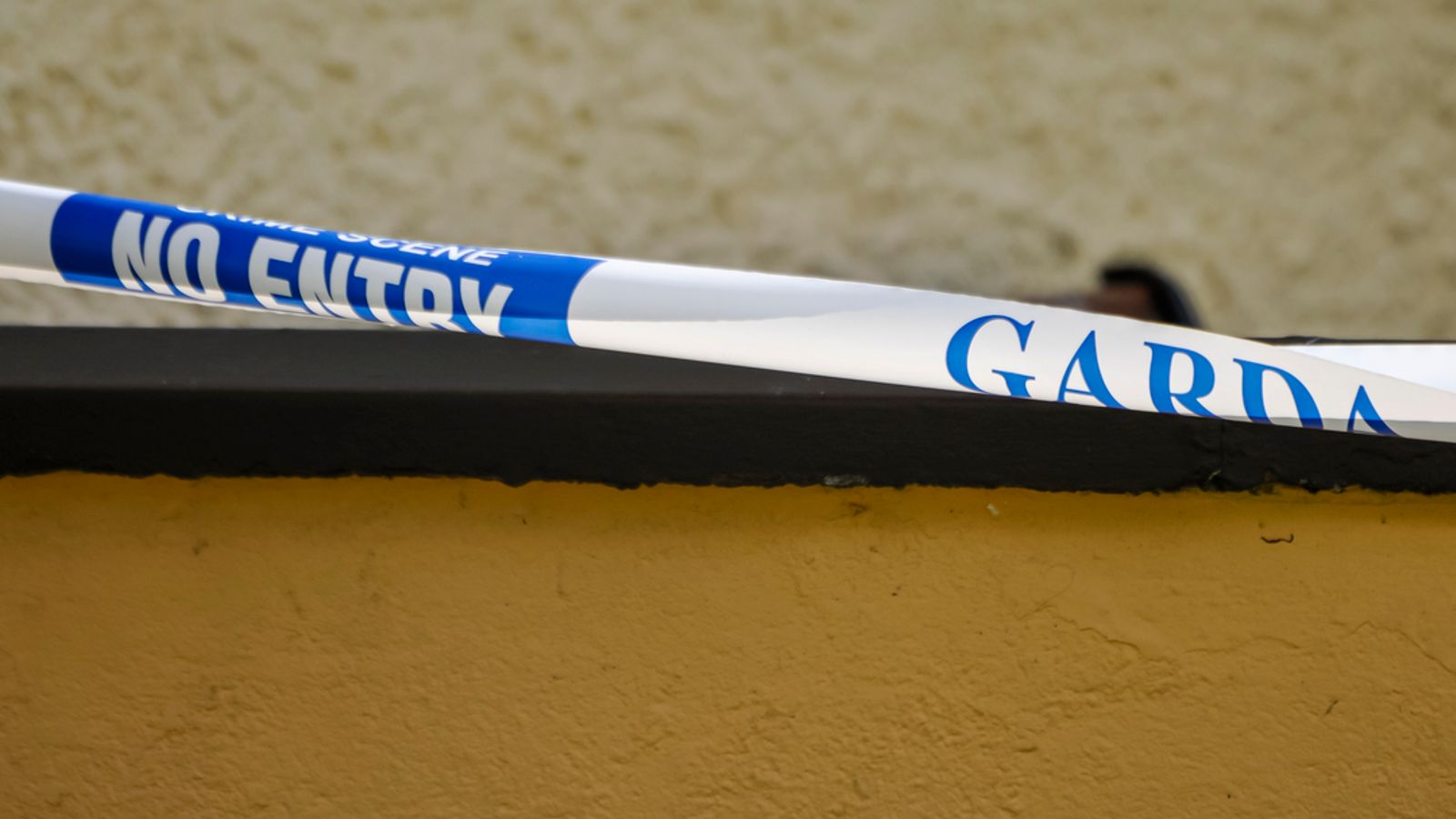 'Severed hand' discovered near school in Dublin - as Irish police investigate