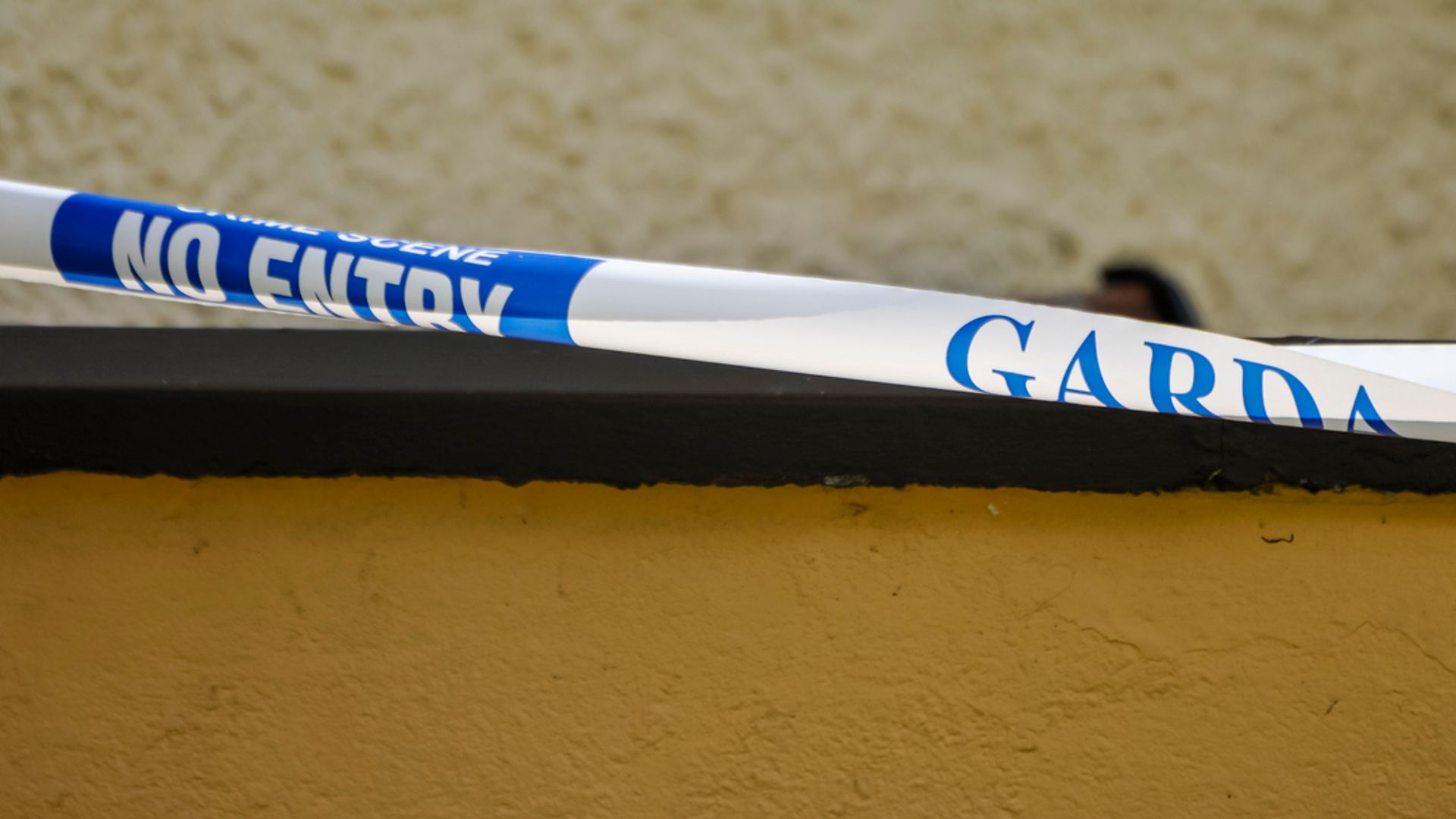 'Severed hand' discovered near school in Dublin