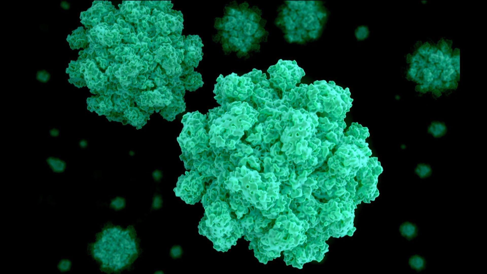 Number of norovirus patients in England at highest level this winter