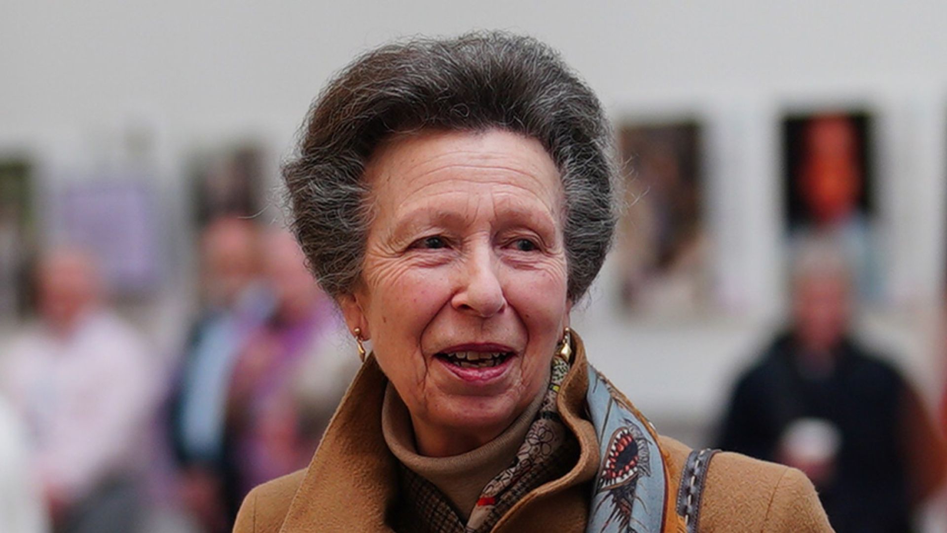 Princess Anne thanks hospital staff after it's revealed horse accident left her in intensive care