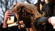 AJ Dereume holds up groundhog Punxsutawney Phil, as he makes his prediction on how long winter will last, during the Groundhog Day festivities, at Gobbler's Knob in Punxsutawney, Pennsylvania, U.S., February 2, 2025. REUTERS/Alan Freed
