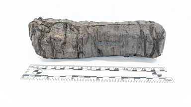 skynews-herculaneum-ancient_6820895.jpg?