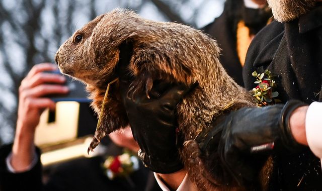 Groundhog Day Punxsutawney Phil predicts six more weeks of wintry