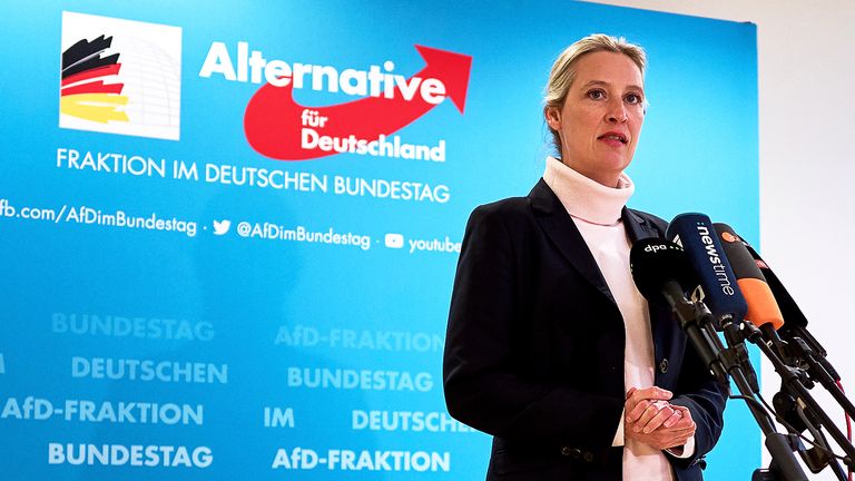 AfD co-leader Alice Weidel. Pic: 