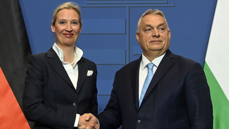 Alice Weidel and Hungarian Prime Minister Viktor Orban. Pic: AP