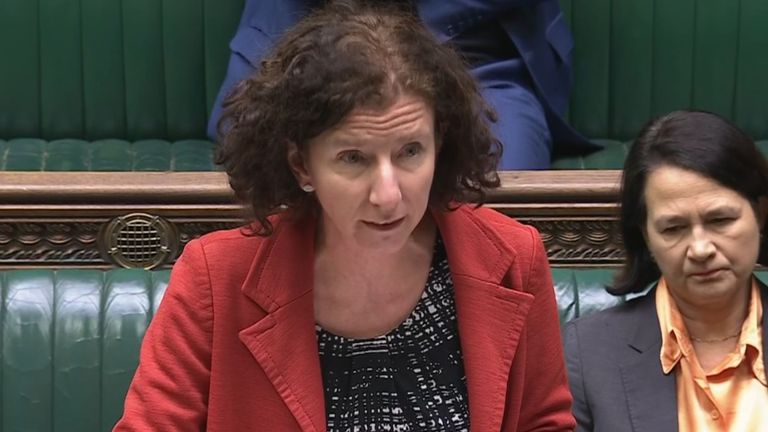 Foreign Office minister Anneliese Dodds addresses the House of Commons on Thursday 6 February 2024. Sky News screen grab