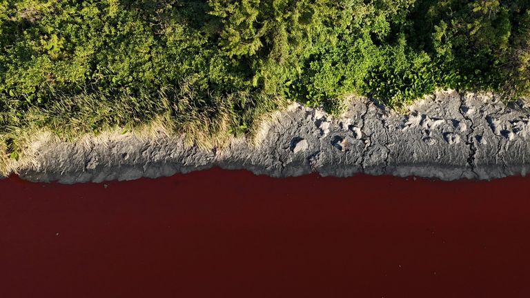 The Sarandi stream, which flows into the Rio de la Plata river, is seen dyed red for unknown reasons, in Buenos Aires, Argentina February 6, 2025. REUTERS/Agustin Marcarian
