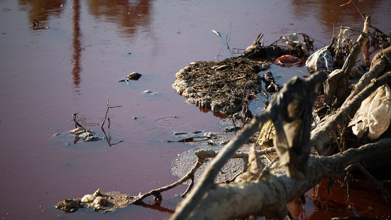 The Sarandi stream, which flows into the Rio de la Plata river, is seen dyed red for unknown reasons, in Buenos Aires, Argentina February 6, 2025. REUTERS/Agustin Marcarian
