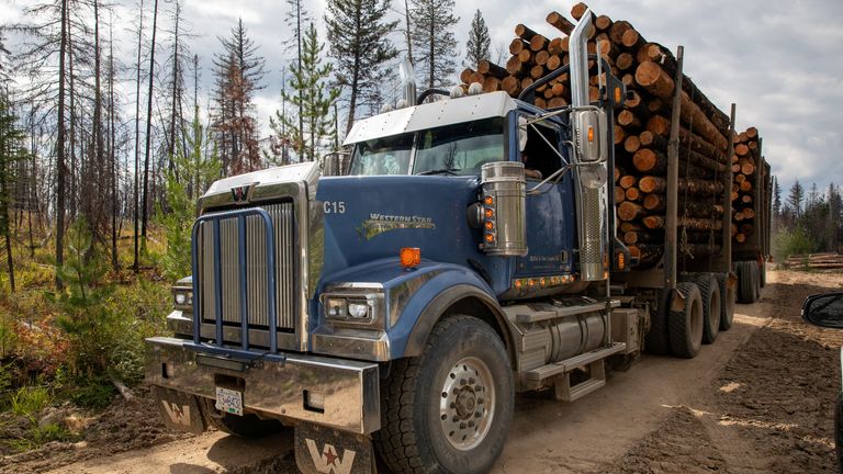 A logging truck in British Columbia, Canada, in 2023 - lumber is one of the industries Trump's tariffs could hit. Pic: Reuters