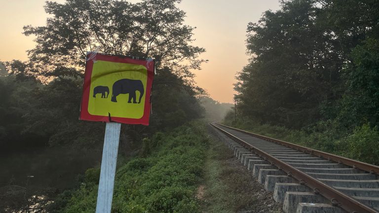 A sign board alerting wild elephants is placed near the site where a passenger train hit a herd and killed six elephants in Minneriya, Sri Lanka, Thursday, Feb. 20, 2025. (AP Photo/Priyan Malinda)