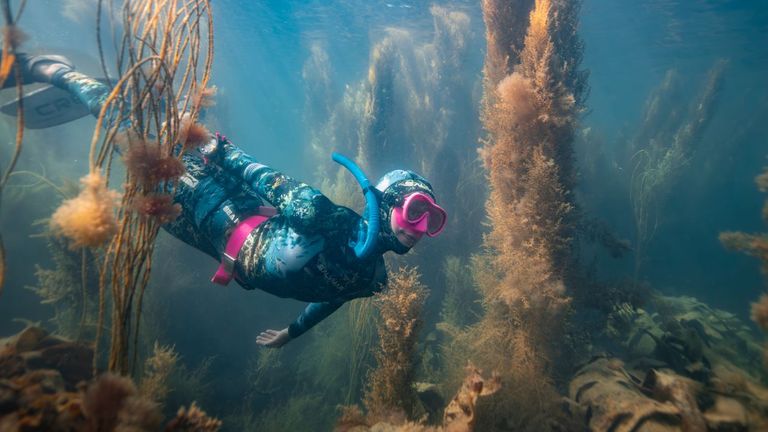 The runner-up in the British Waters Living Together category of the 2025 Underwater Photographer of the Year competition, taken at Balaclava Bay, Portland. Pic: Guy Trees/UPY 2025