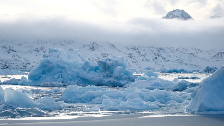 Icebergs float near Sermitsiaq Island, Greenland, February 9, 2025. REUTERS/Sarah Meyssonnier