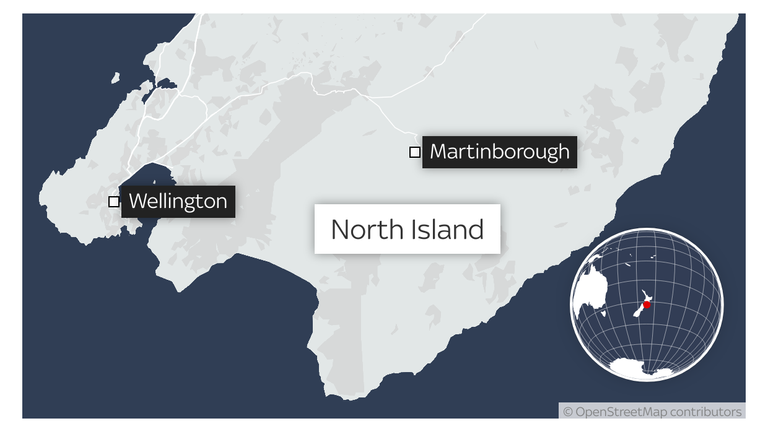 map showing location of crash between a four-seater quad-cycle and a car on Puruatanga Road in Martinborough, in New Zealand