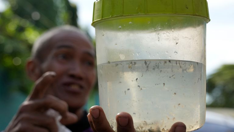 Philippines village offering bounties for mosquitoes amid dengue fever outbreak