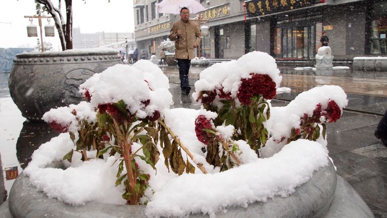 Real snow seen in China. Pic: AP
