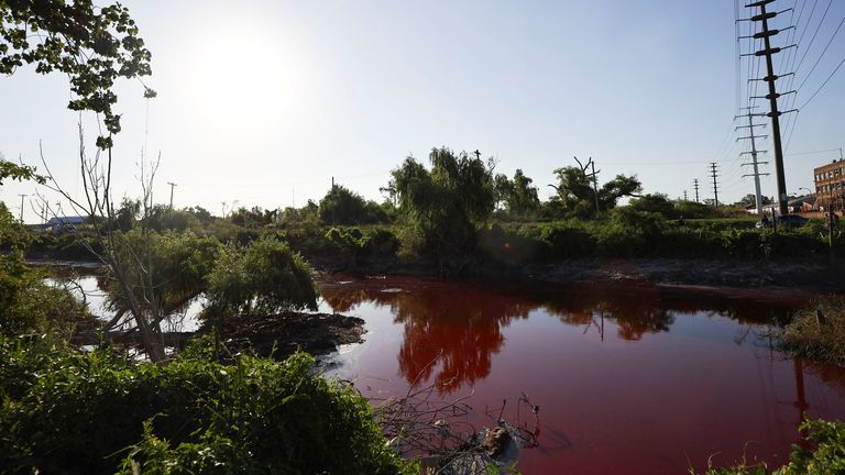 The Sarandi stream, which flows into the Rio de la Plata river, is seen dyed red for unknown reasons, in Buenos Aires, Argentina February 6, 2025. REUTERS/Agustin Marcarian
