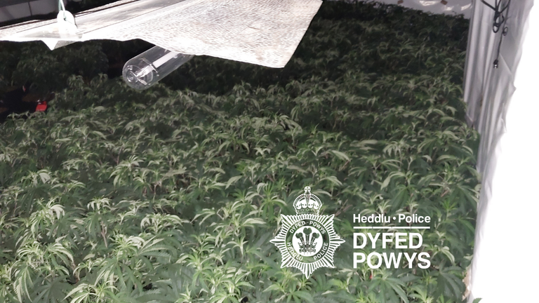 Men jailed after cannabis worth 'nearly £2m' grown in abandoned school