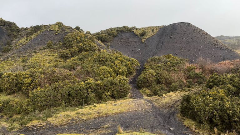 Cilfynydd Common coal tip