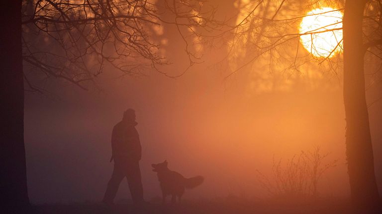 A man walks his dog in the morning fog of Morden Hall Park, south London.
Pic: PA