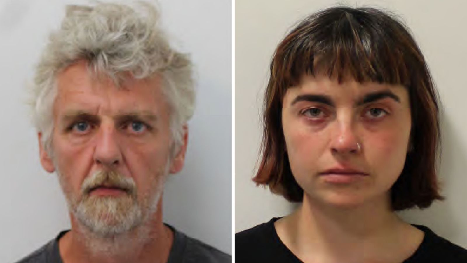 Nine Just Stop Oil protesters convicted after planning to glue themselves to Heathrow runway