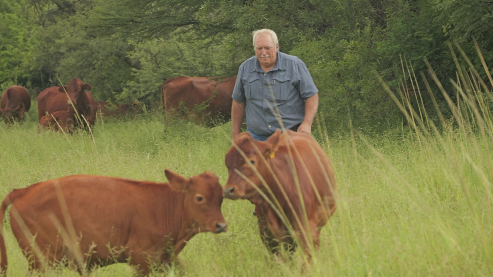 White South African farmer elated Donald Trump grilled his president
