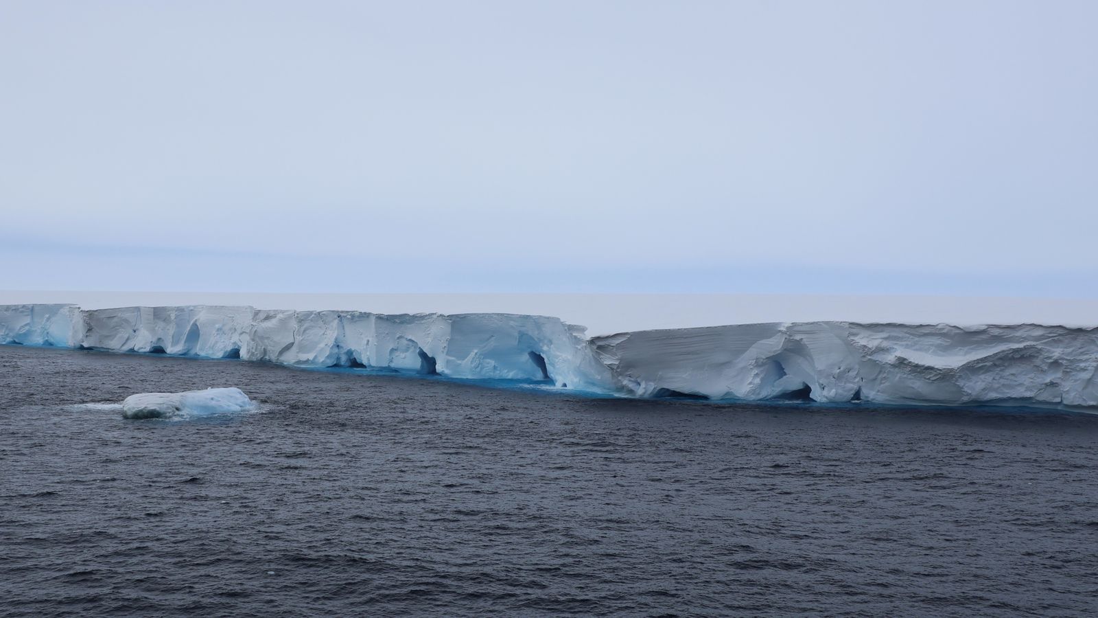 World’s largest iceberg runs aground in South Georgia and blocks off key penguin feeding ground