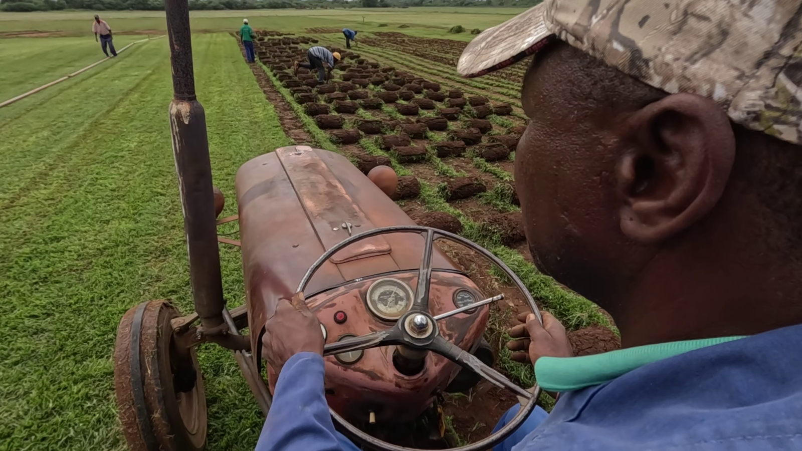 Tens of thousands of jobs on South Africa’s citrus farms at risk if US imposes tariffs