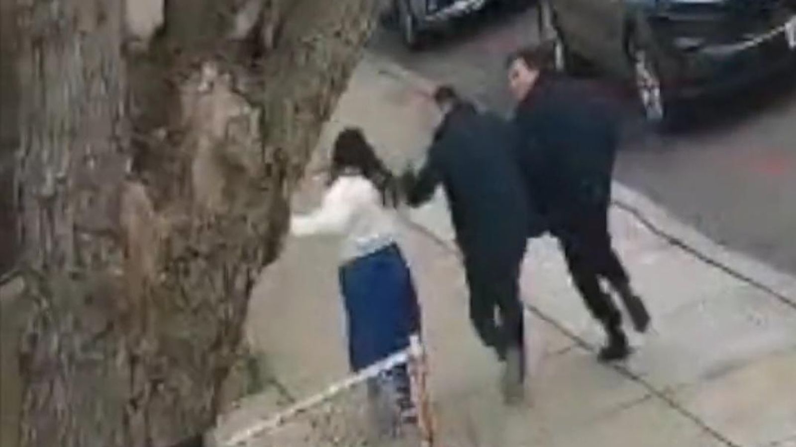 Moment tree narrowly misses pedestrians in New York.