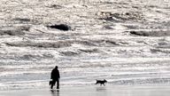 A person walks their dogs along the beach in sunny weather in Bridlington. 
Pic: PA