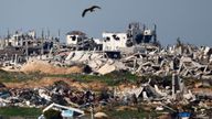 A bird flies above destroyed buildings in North Gaza, amid a ceasefire between Israel and Hamas, as seen from Israel, March 2, 2025. REUTERS/Amir Cohen
