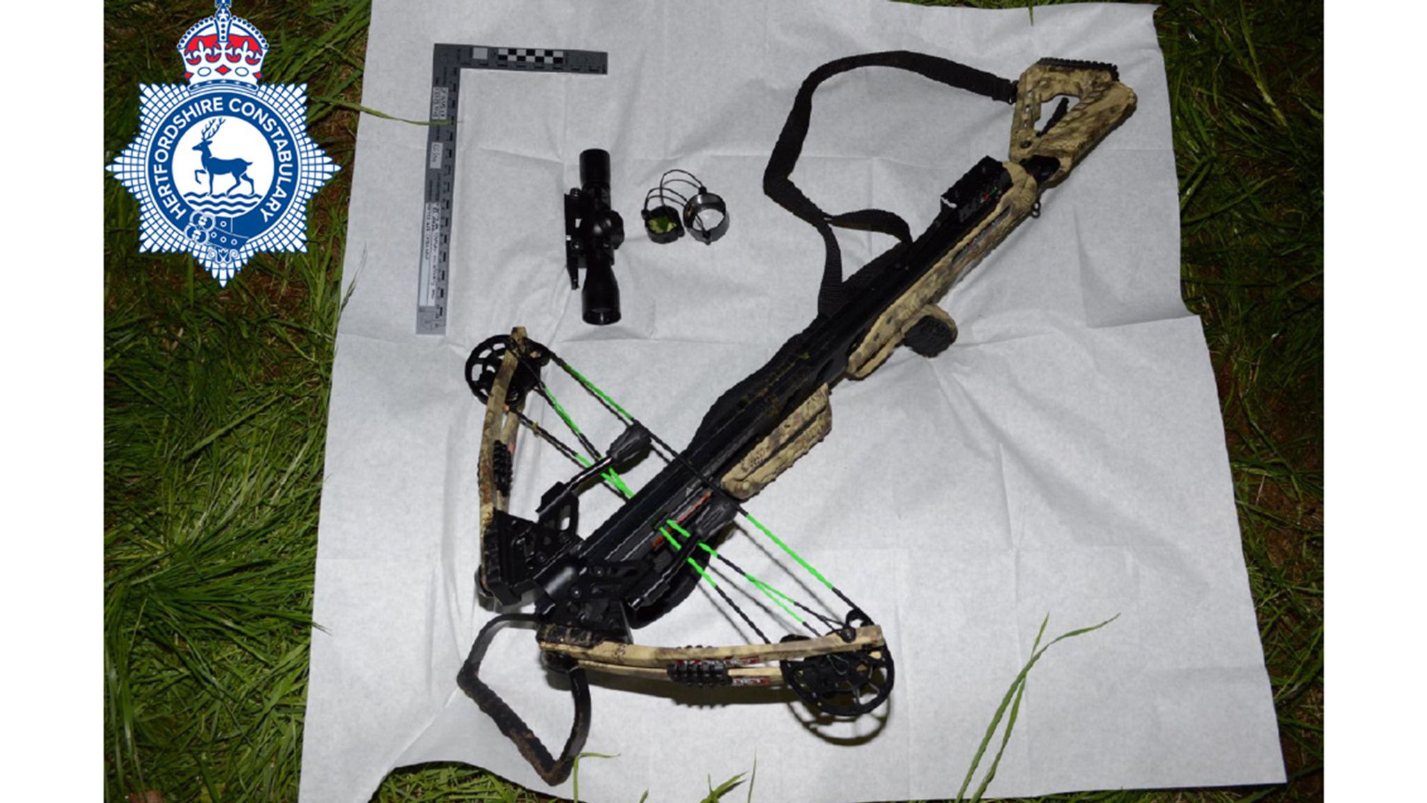 skynews-crossbow-kyle-clifford_6848030.jpg